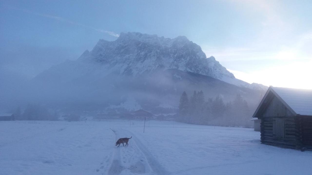 Tyrol Appartements Ehrwald Buitenkant foto
