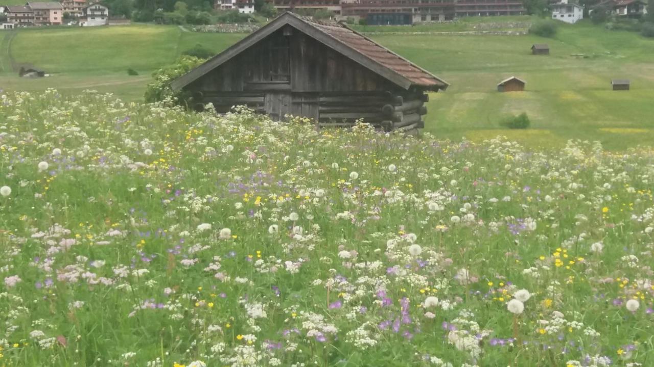 Tyrol Appartements Ehrwald Buitenkant foto